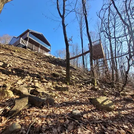 Dds - Bridge Into Nature!