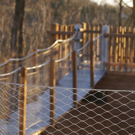 Dds - Bridge Into Nature! *