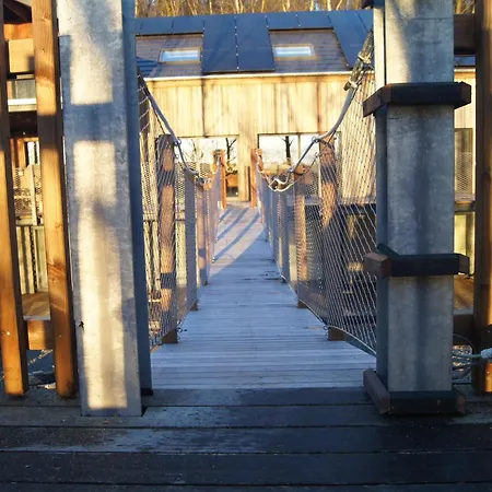Dds - Bridge Into Nature! Manhay