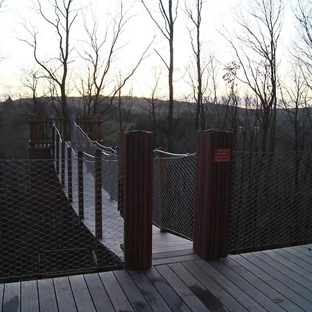 Dds - Bridge Into Nature!