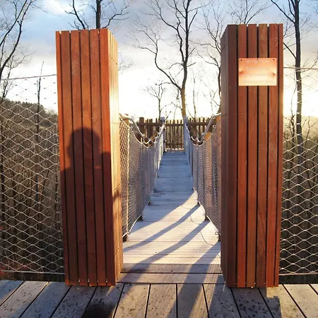 Dds - Bridge Into Nature! Manhay