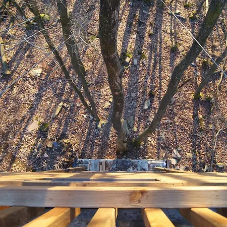 Dds - Bridge Into Nature!