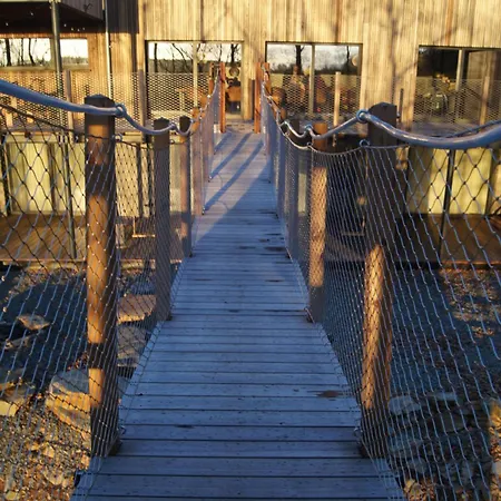 Dds - Bridge Into Nature! *